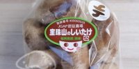 宝珠山きのこ生産組合の生しいたけ